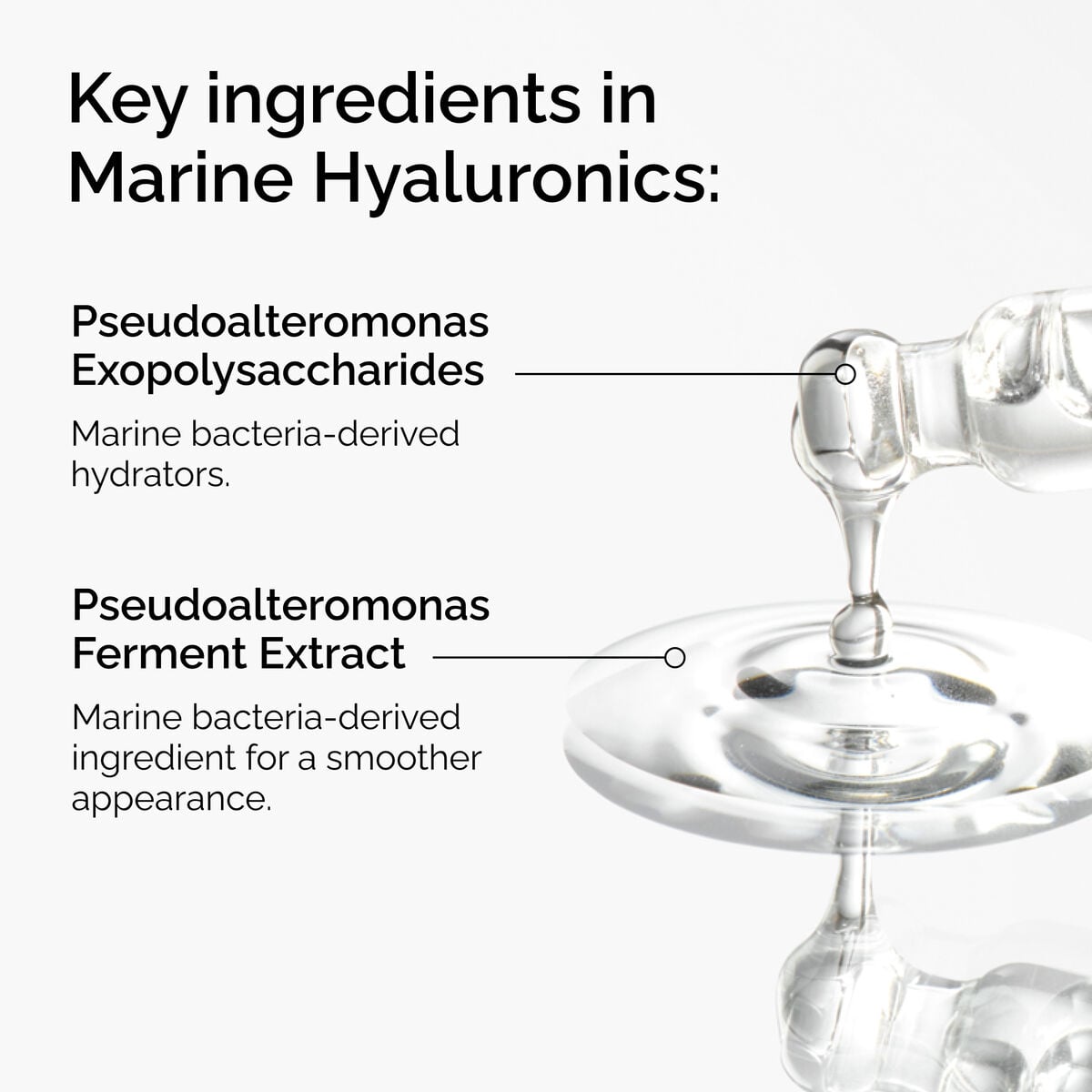 marine-hyaluronics-n4 FY25-D41247-ORD-Web-PDP-Marine-Hya-1x1-EN-2a.jpg
