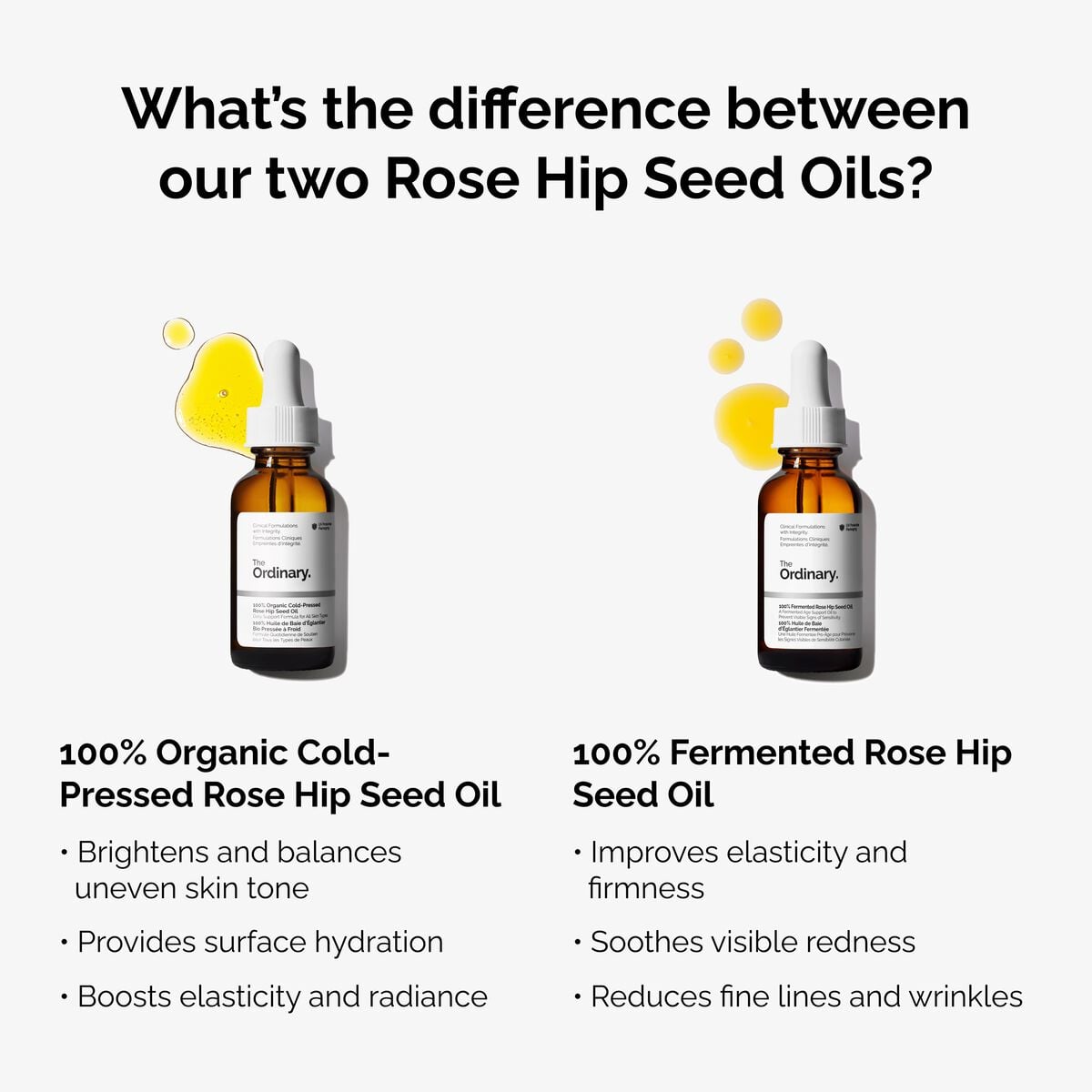 100-fermented-rose-hip-seed-oil-b8 fermented-rose-hip-vs-organic-rose-hip-graphic.jpg